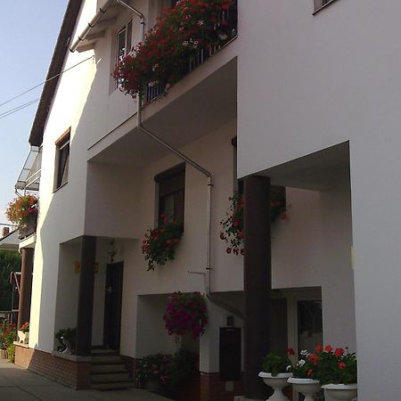 Anna vendégház Szeged Extérieur photo