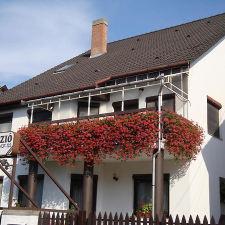 Anna vendégház Szeged Extérieur photo